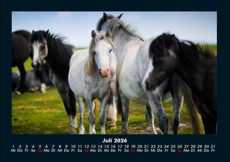 Produktbild: Die Welt der Pferde 2026 Fotokalender DIN A4