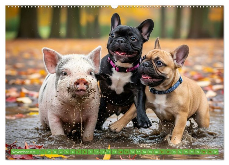 Produktbild: Muddi Buddies &ndash; Freundschaft im Matsch (hochwertiger Premium Wandkalender 2026 DIN A2 quer), Kunstdruck in Hochglanz