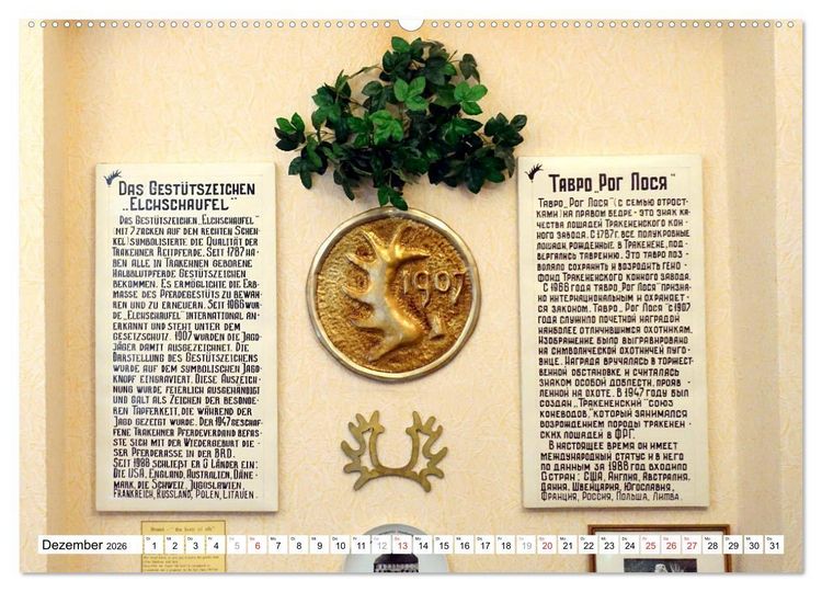 Produktbild: Mythos Trakehnen - Paradies ohne Pferde (Wandkalender 2026 DIN A2 quer), CALVENDO Monatskalender