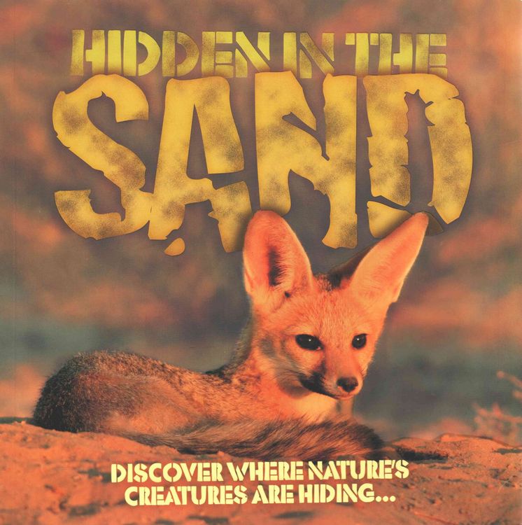 Produktbild: Taylor, B: Hidden in the Sand