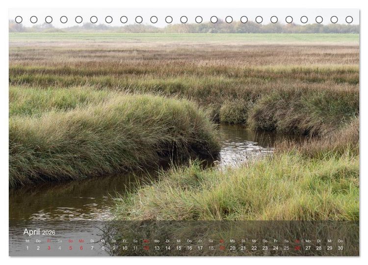 Produktbild: Texel - Meine Insel (Tischkalender 2026 DIN A5 quer), CALVENDO Monatskalender