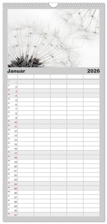Produktbild: Familienplaner 2026 - Filigrane Pusteblumen / Geburtstagskalender mit 5 Spalten (Wandkalender, 21 x 45 cm) CALVENDO