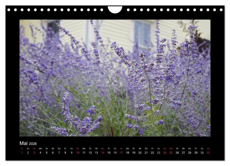 Produktbild: Nova Scotia & Prince Edward Island (Wandkalender 2026 DIN A4 quer), CALVENDO Monatskalender