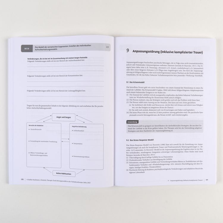 Produktbild: Therapie-Tools St&ouml;rungsmodelle in der Verhaltenstherapie