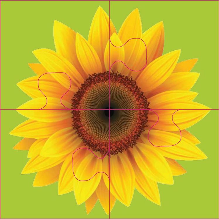 Produktbild: Das "Gelingt-immer"-Puzzle Blumen. Das Puzzle-Spiel f&uuml;r Senioren mit Demenz