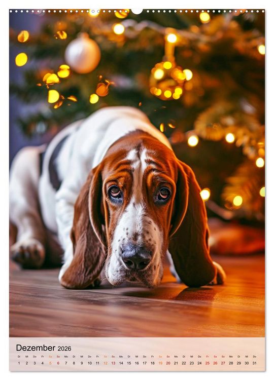 Produktbild: Basset Hound - freundlich und anh&auml;nglich (Wandkalender 2026 DIN A2 hoch), CALVENDO Monatskalender