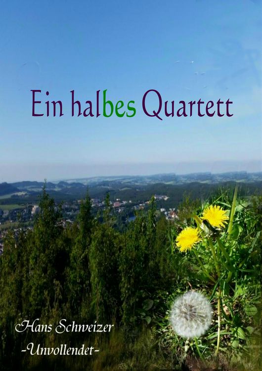 Produktbild: Ein halbes Quartett