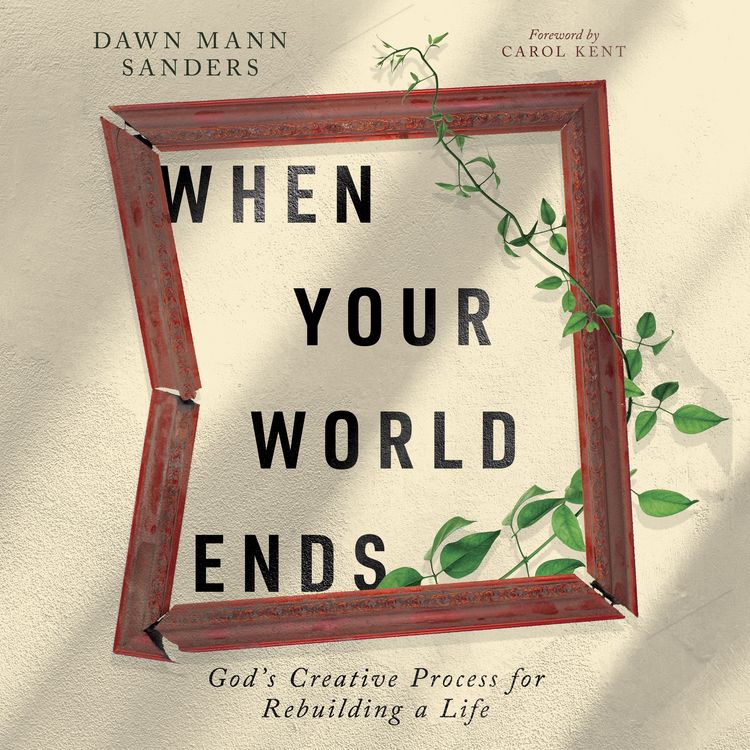 Produktbild: When Your World Ends