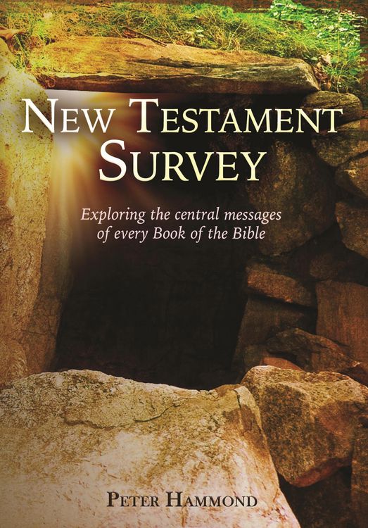 Produktbild: New Testament Survey