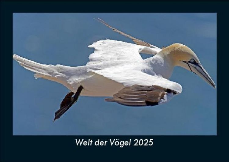 Produktbild: Welt der V&ouml;gel 2025 Fotokalender DIN A5