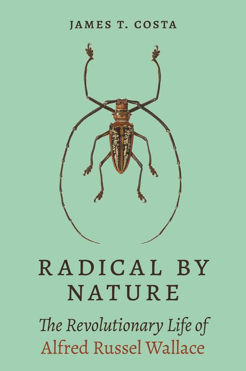 Produktbild: Radical by Nature