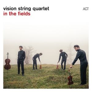 Produktbild: In The Fields, 1 Schallplatte (180g Black Vinyl)