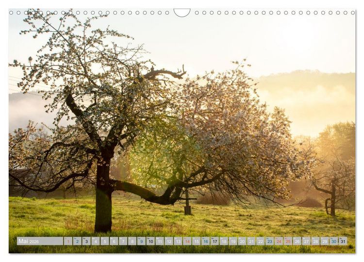 Produktbild: Streifz&uuml;ge durch die Hebelei (Wandkalender 2026 DIN A3 quer), CALVENDO Monatskalender