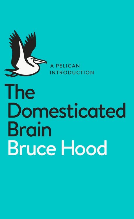 Produktbild: The Domesticated Brain