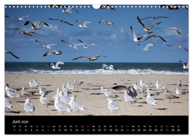 Produktbild: Frankreich Normandie (Wandkalender 2026 DIN A3 quer), CALVENDO Monatskalender
