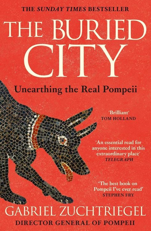 Produktbild: The Buried City