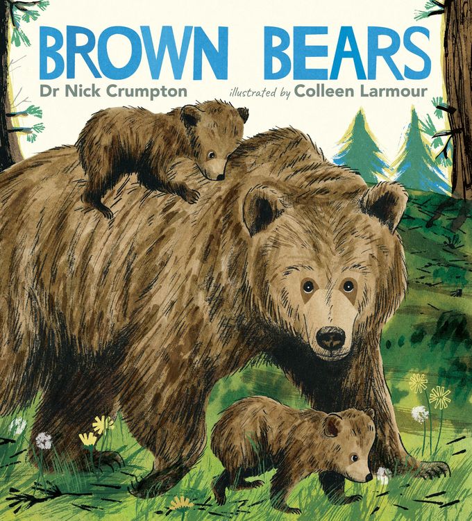 Produktbild: Brown Bears