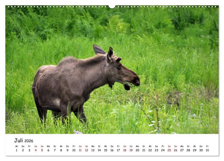 Produktbild: Unendlichkeit in Alaska und Yukon (Wandkalender 2026 DIN A2 quer), CALVENDO Monatskalender
