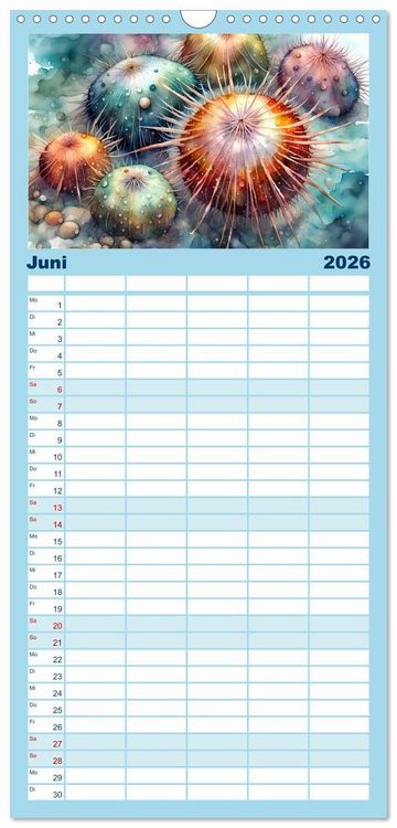 Produktbild: Familienplaner 2026 - Meereskreaturen - Lebendige Unterwasserwelt mit 5 Spalten (Wandkalender, 21 x 45 cm) CALVENDO