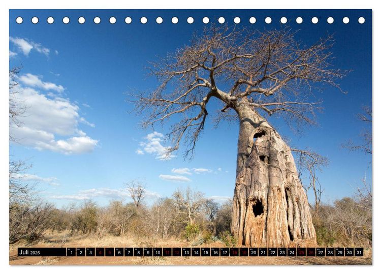Produktbild: Faszination Simbabwe (Tischkalender 2026 DIN A5 quer), CALVENDO Monatskalender