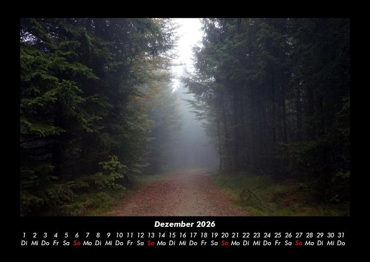 Produktbild: Waldzauber 2026 Fotokalender DIN A3