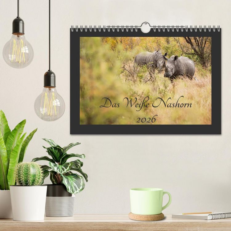 Produktbild: Das Wei&szlig;e Nashorn (Wandkalender 2026 DIN A4 quer), CALVENDO Monatskalender