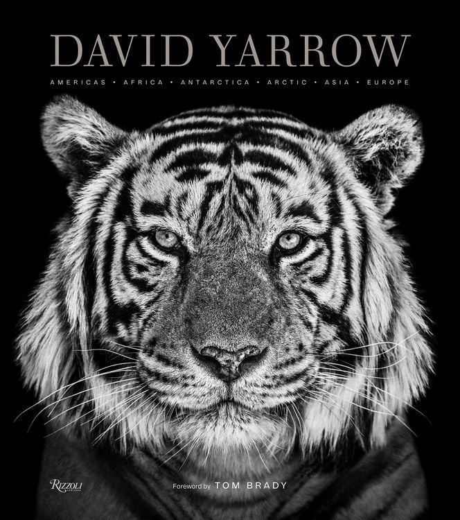 Produktbild: David Yarrow Photography