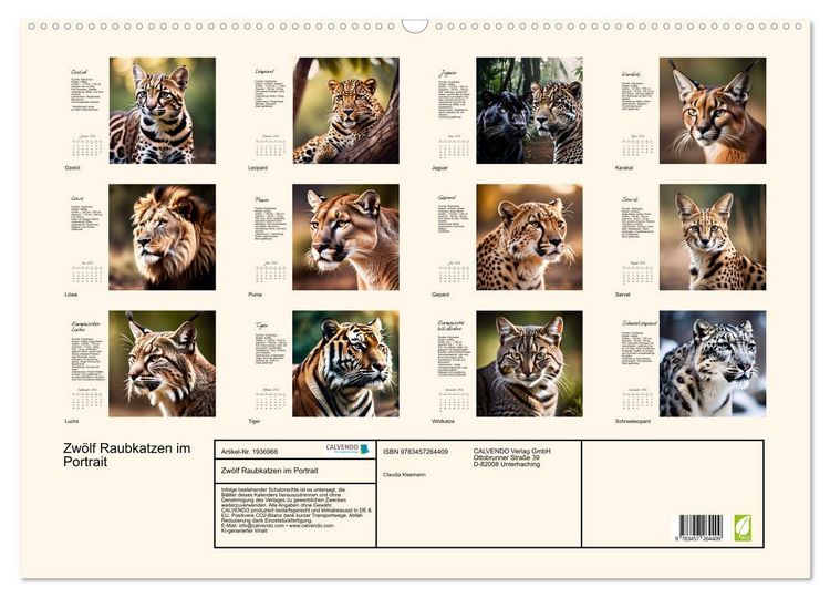 Produktbild: Zw&ouml;lf Raubkatzen im Portrait (Wandkalender 2026 DIN A2 quer), CALVENDO Monatskalender
