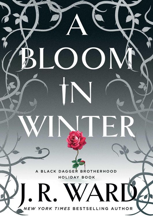 Produktbild: A Bloom in Winter