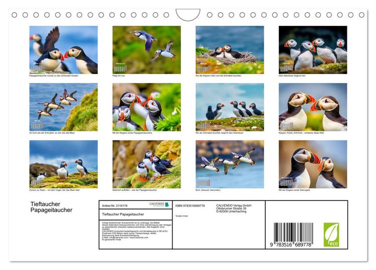Produktbild: Tieftaucher Papageitaucher (Wandkalender 2026 DIN A4 quer), CALVENDO Monatskalender