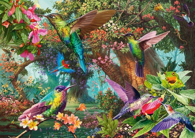 Produktbild: PU1000T.Farbenspiel der Kolibris