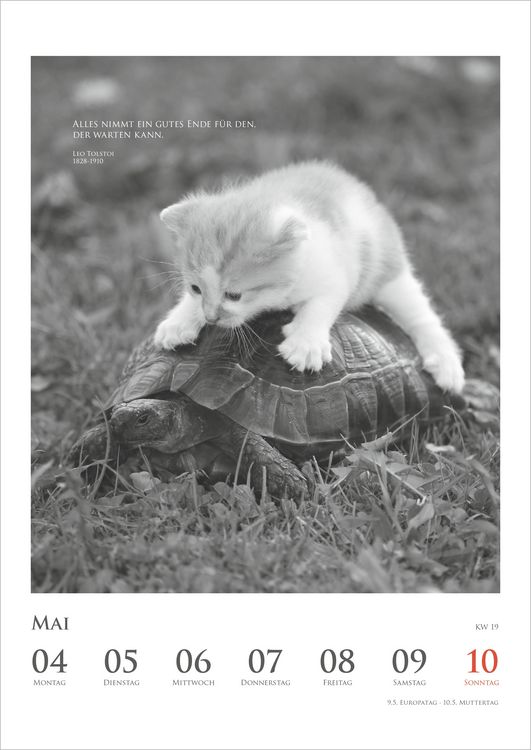 Produktbild: Der poetische Katzenkalender 2027
