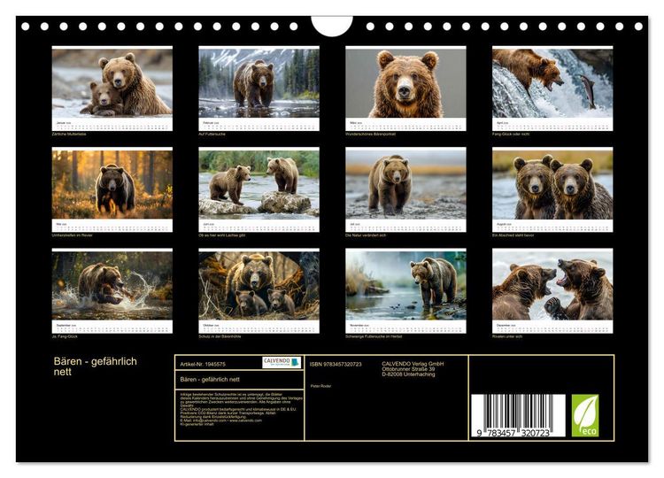 Produktbild: B&auml;ren - gef&auml;hrlich nett (Wandkalender 2026 DIN A4 quer), CALVENDO Monatskalender