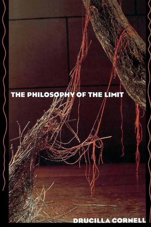 Produktbild: The Philosophy of the Limit