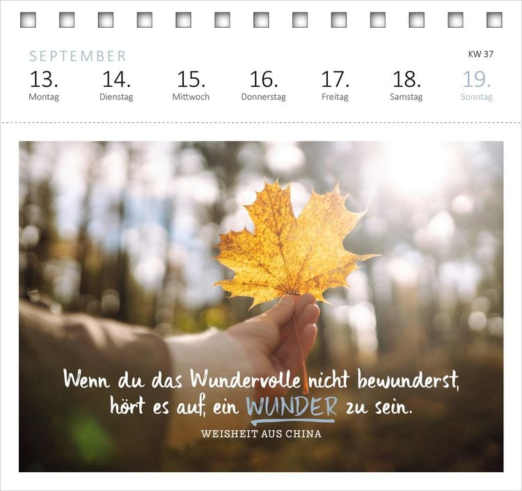 Produktbild: Postkartenkalender Ich w&uuml;nsch dir was 2027
