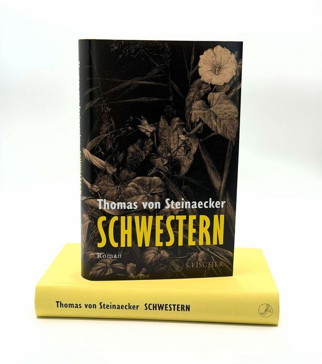 Produktbild: Schwestern