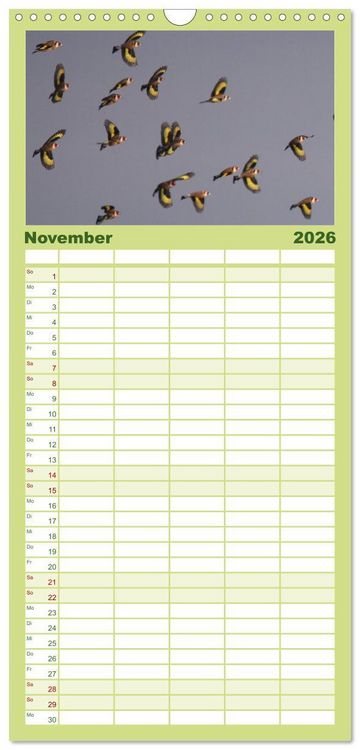 Produktbild: Familienplaner 2026 - Die farbenfrohe Welt der Finken mit 5 Spalten (Wandkalender, 21 x 45 cm) CALVENDO