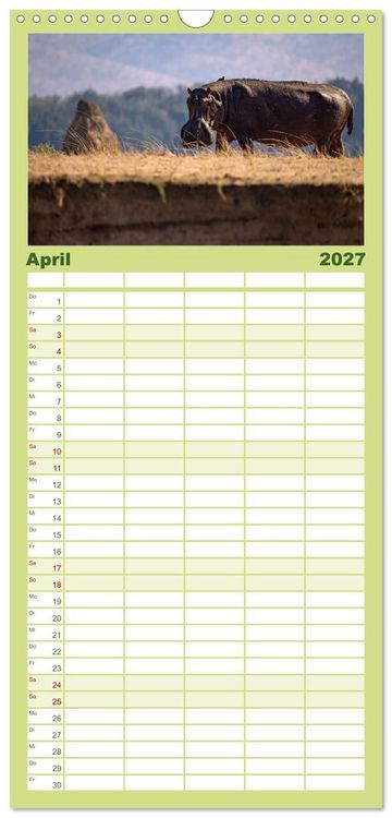 Produktbild: Familienplaner 2027 - Sambias gro&szlig;artige Tierwelt mit 5 Spalten (Wandkalender, 21 x 45 cm) CALVENDO