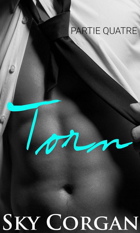 Produktbild: Torn : Partie Quatre (La s&eacute;rie Torn)