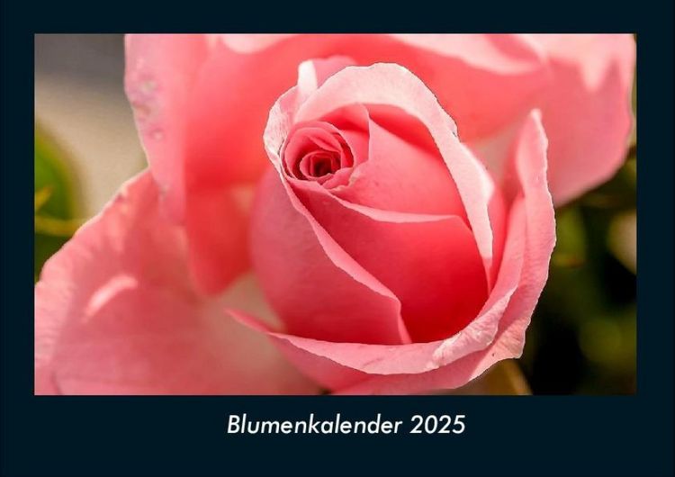 Produktbild: Blumenkalender 2025 Fotokalender DIN A4