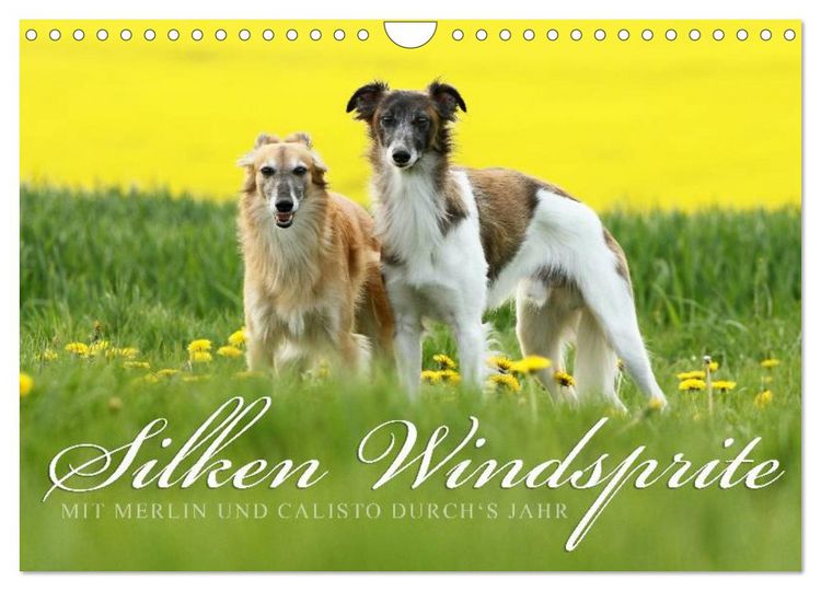 Produktbild: Silken Windsprite - Mit Merlin und Calisto durch&acute;s Jahr 2026 (Wandkalender 2026 DIN A4 quer), CALVENDO Monatskalender