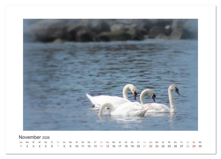 Produktbild: Sonneninsel Bornholm (Tischkalender 2026 DIN A5 quer), CALVENDO Monatskalender