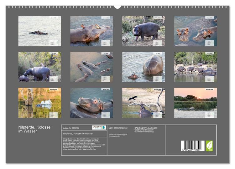 Produktbild: Nilpferde, Kolosse im Wasser (hochwertiger Premium Wandkalender 2026 DIN A2 quer), Kunstdruck in Hochglanz