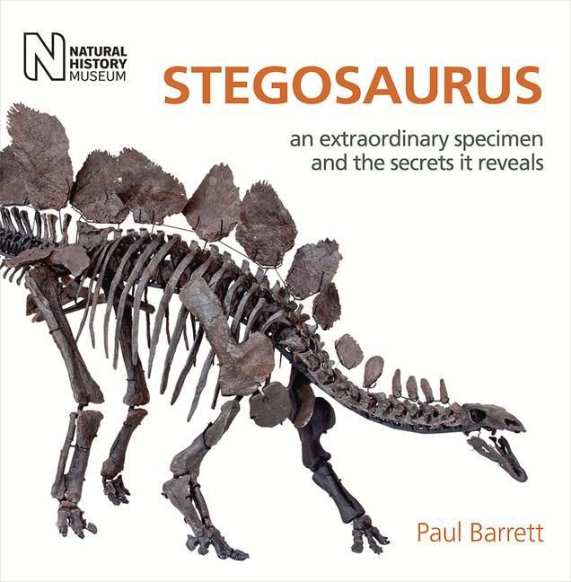 Produktbild: Stegosaurus