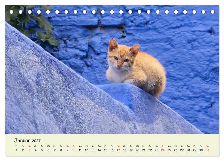 Produktbild: MarokkoCats (Tischkalender 2027 DIN A5 quer), CALVENDO Monatskalender