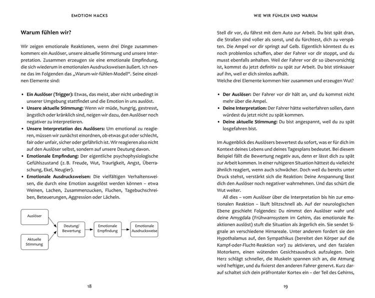 Produktbild: Emotion Hacks