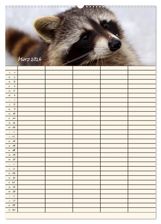 Produktbild: Waschb&auml;ren Familienplaner (Wandkalender 2026 DIN A2 hoch), CALVENDO Monatskalender