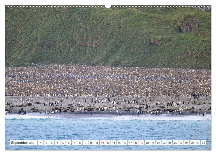 Produktbild: S&uuml;dgeorgien - Abgelegenes Naturparadies (hochwertiger Premium Wandkalender 2026 DIN A2 quer), Kunstdruck in Hochglanz