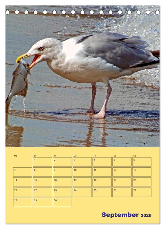 Produktbild: Sehnsuchtsort Warnem&uuml;nde (Tischkalender 2026 DIN A5 hoch), CALVENDO Monatskalender