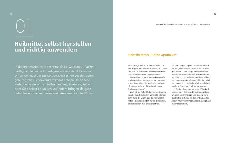 Produktbild: 10 Kr&auml;uter gegen 100 Krankheiten